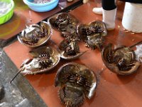 Marknaden i Ha Long